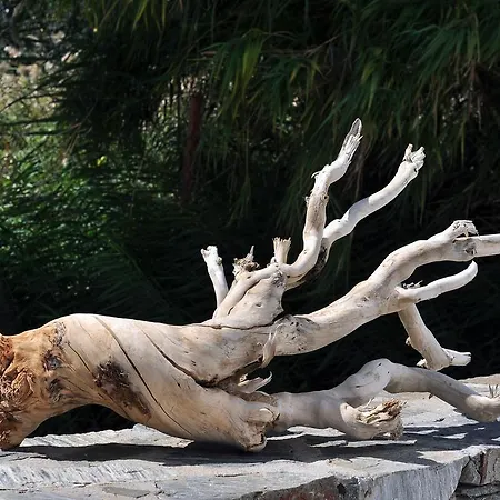 Aliktypo Livadi (Serifos)