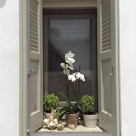 Aliktypo Lejlighed Livadi (Serifos)