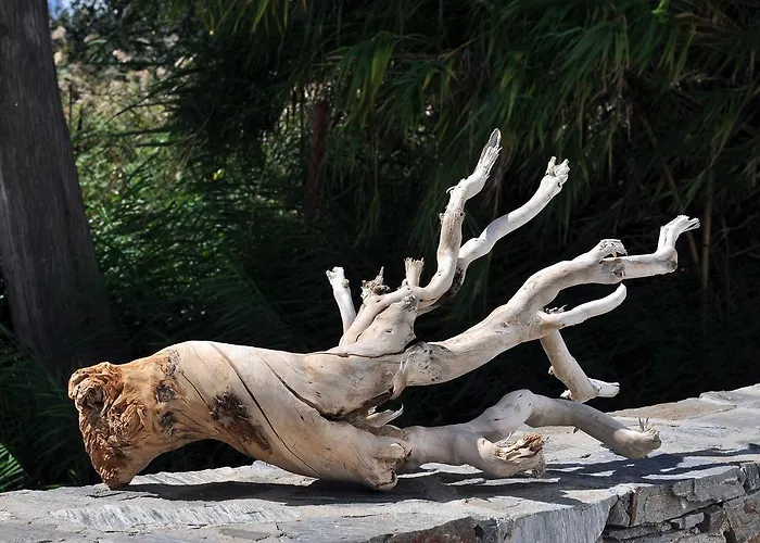 Aliktypo Livadi (Serifos)